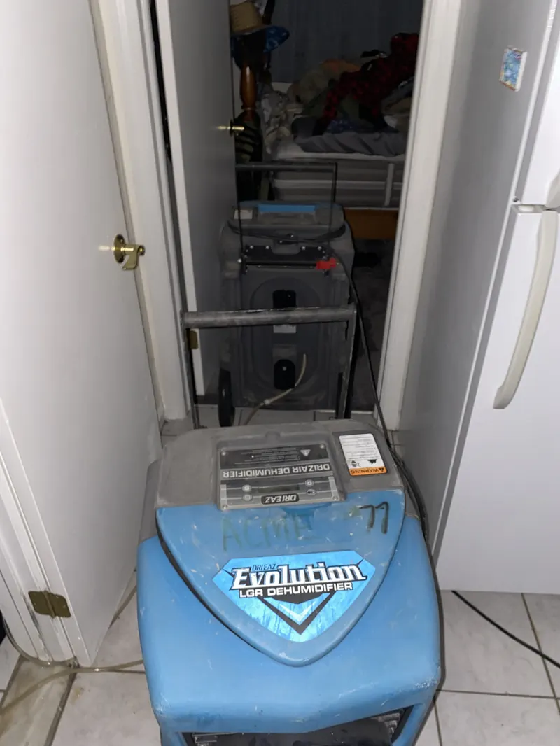 Disinfection Services Albany NY