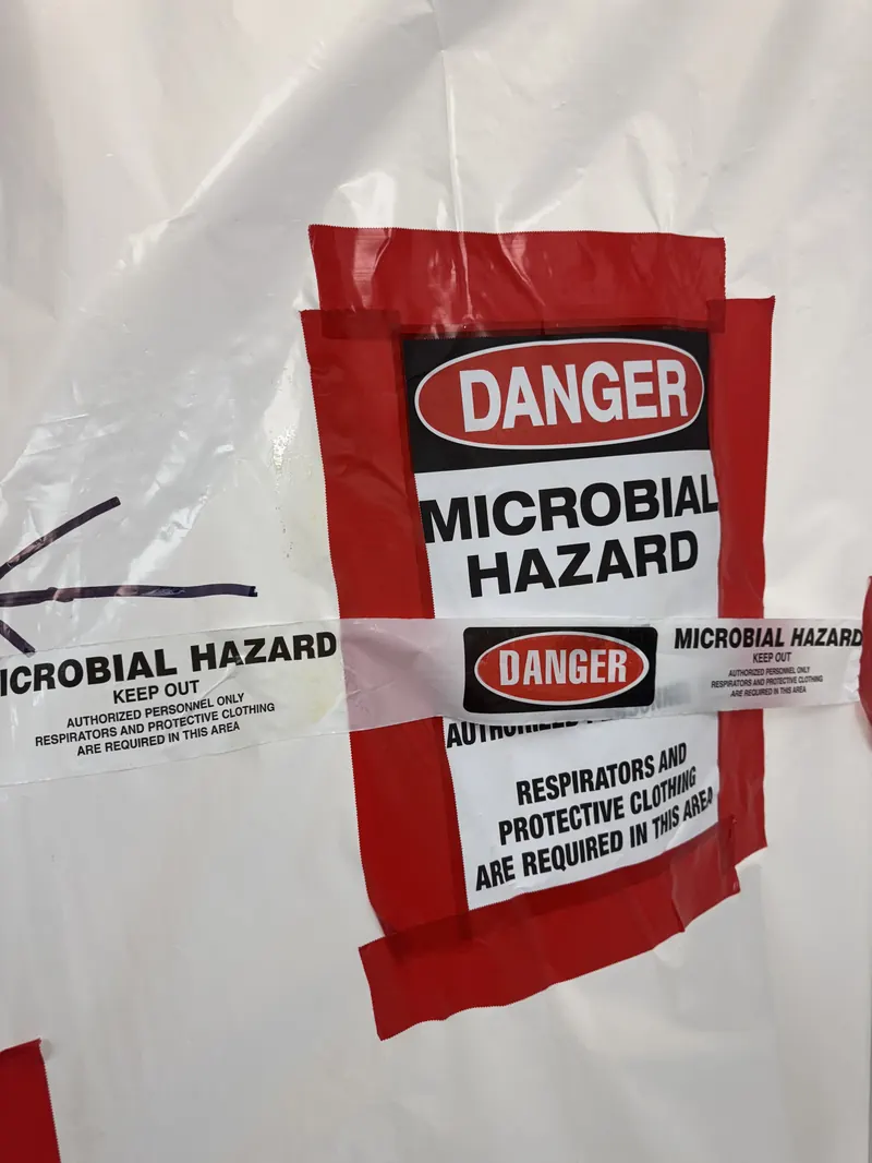 Mold removal remediation Albany NY IICRC certified